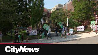 McGill University law professors back on strike in Montreal