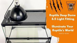 Reptile Deep Dome 8.5 Inch Light Fitting  VIPER Reptile Products