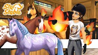 Rapid Fire Rating All My Horses and Selling Horses - Star Stable