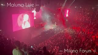 ADMV - Maluma Live Milano Forum 2022