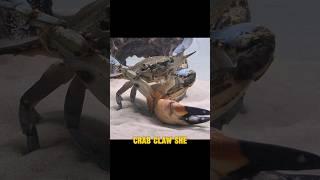 feeding my grocery store bought crab #pets #aquarium #crab