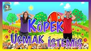 Köpek Uçmak İstemiş - Tıngır Mıngır Çocuk Şarkıları