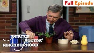 Strengths and Limitations Abilities and Disabilities  Mister Rogers Neighborhood Full Episode