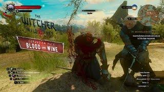 The Witcher 3 Blood and Wine going around the map Max setting Gtx 970