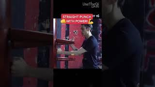 Wing Chun Technique Glossary for Wooden Dummy Training  Part 16 #shorts