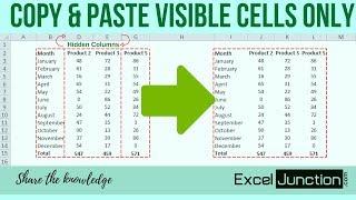 Copy & Paste VISIBLE CELLS ONLY  ExcelJunction.com