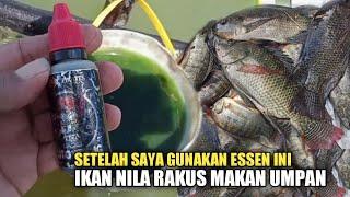 Essen Campuran Lumut Terbaik Buat mancing nila#MM-306