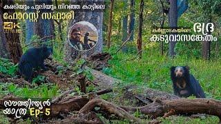 Bhadra Tiger Reserve  Lakkavalli Forest Safari  Ep 5 of South Indian Trip