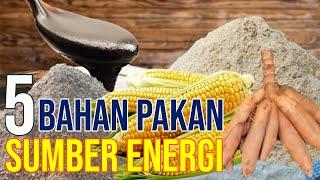 Pakan Ternak Sumber Energi Untuk Sapi