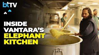 #Exclusive  Anant Ambani And Rahul Kanwal Take a Tour of Vantara Kingdom Elephant Kitchen