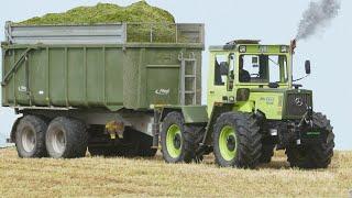 MB Trac 1000  40 Jahre volle Leistung  Grasernte 2023 mit Claas Jaguar 940