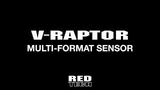 RED TECH  V-RAPTOR  MULTI-FORMAT SENSOR