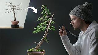 Transformation of a Japanese Larch Bonsai Tree