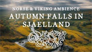 Autumn Falls in Sjaelland - Norse & Viking Ambience Relaxing Music