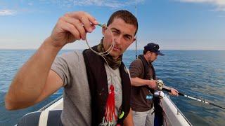 Can we catch a GREAT WHITE SHARK in the UK? EXPERTS Hunt for Great White Sharks  The Fish Locker