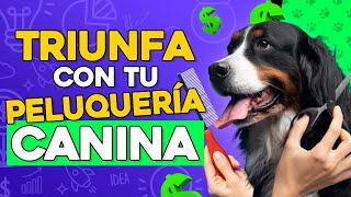 COMO INICIAR Una PELUQUERÍA CANINA Paso a Paso ️