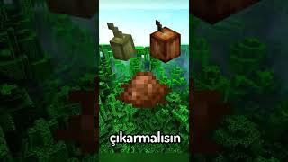 Minecraft Yapılması En Zor Eşya 🪓️ #shorts