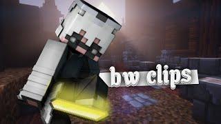 BW CLIPS  New video card