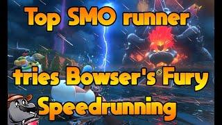 I tried the speedrun where mario is a ... Furry?