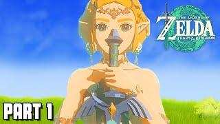 LEGEND OF ZELDA TEARS OF THE KINGDOM FULL GAMEPLAY WALKTHROUGH PART 1