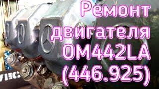 Ремонт двигателя ОМ442LA 446.925