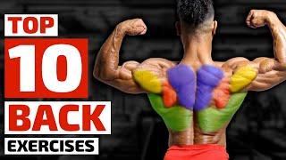 Top Trainers Agree These are the 10 Best Exercises for Building a Bigger Back
