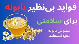 بابونه چه خاصیتی دارد  بهترین خواص بابونه برای سلامتی