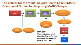 Keep Up With the Model Aquatic Health Code Release of the Third Edition July 2018