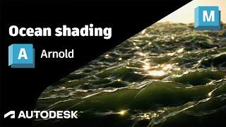 Arnold Tutorial - Rendering an Ocean with Displacement GPU