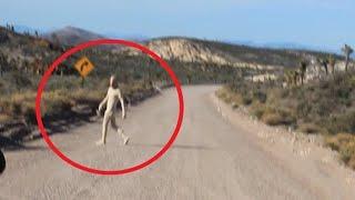 13 Mysterious Creatures Caught on Camera