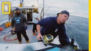 Catch of the Week - Nine Foot Monster  Wicked Tuna Outer Banks