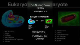 Pre-Nursing Exam Review Biology Part 12