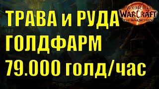 ТЕСТ ГОЛДФАРМА ТРАВА и РУДА 79000 ГОЛДЧАС WOW TWW