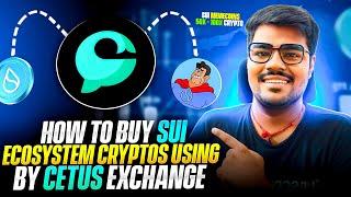 How To Buy SUI Ecosystem 100x Cryptos Using By Cetus Exchange Step By Step Process SUIMAN Memecoin