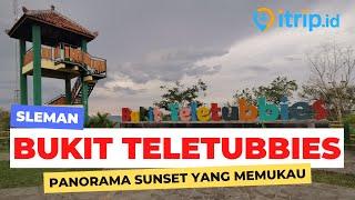 Bukit Teletubbies Jogja Destinasi Wisata Alam yang Unik dan Estetik dengan Spot Foto Keren