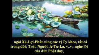 Tụng Kinh Phật A Di Đà Nghĩa - Thích Trí Thoát tụng