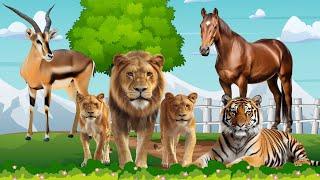 Lovely Animal Sounds In 30 Minutes Antelope Lion Tiger Horse  Soothing Music