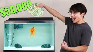 I Gave My Goldfish $50000 to Trade Stocks