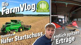 Wir dreschen Glutenfreies Getreide mit 5tha  Vlog 113