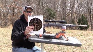 SAVAGE BMAG TARGET 17 WSM REVIEW