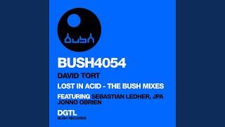 Lost in Acid Sebastian Ledher and DJ Mara Remix