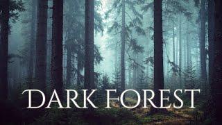 DARK FOREST Ambience and Music - sounds of dark misty forest with ambient music