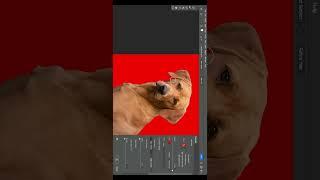 How to Remove Background in photoshop  Photoshop #short #tutorial