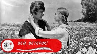 Очень нежный и грустный фильм ВЕЙ ВЕТЕРОК Лучшие зарубежные фильмы