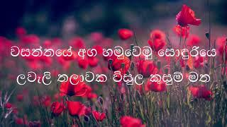 Wasanthaye Aga KARAOKE  Without Voice  වසන්තයේ අග හමුවෙමු සොඳුරියෙ Sinhala Karaoke