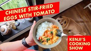 The Wok Chinese Scrambled Eggs With Tomato  Kenjis Cooking Show