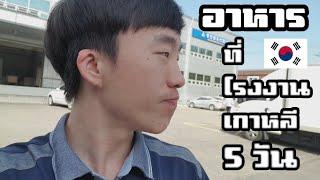 อาหารเกาหลีในโรงงาน ห้ามพลาด?  รีวิวอาหารกลางวันเกาหลี 5 วันเต็ม  Blongtam Channel