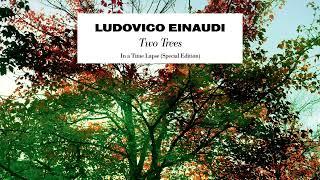 Ludovico Einaudi - Two Trees Official Audio