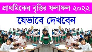 প্রাথমিকের বৃত্তির ফল জানবেন যেভাবে ২০২২ www.dpe.gov.bd