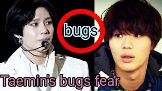 Teamins bugs fear